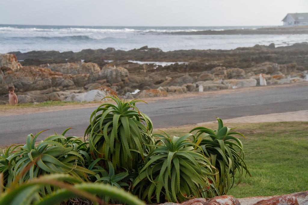 Little Rock Guesthouse Groot-Jongensfontein Exteriér fotografie